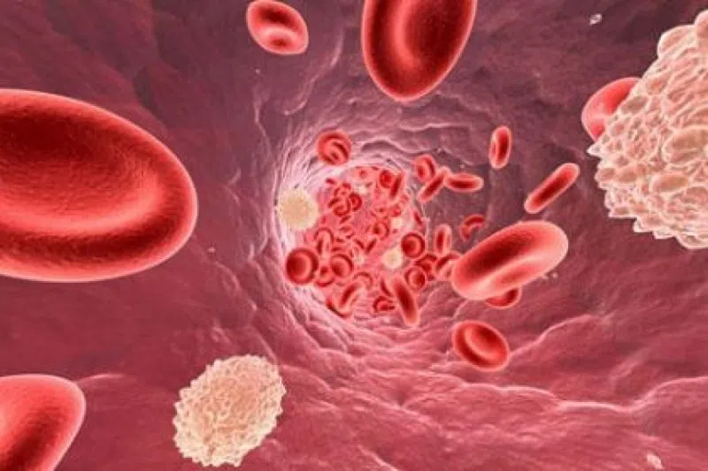 როგორ დავიწიოთ პროთრომბინი - მკურნალი.გე