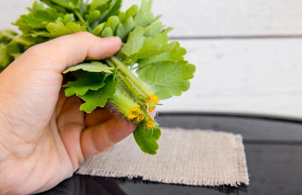 დავეხმაროთ ერთმანეთს