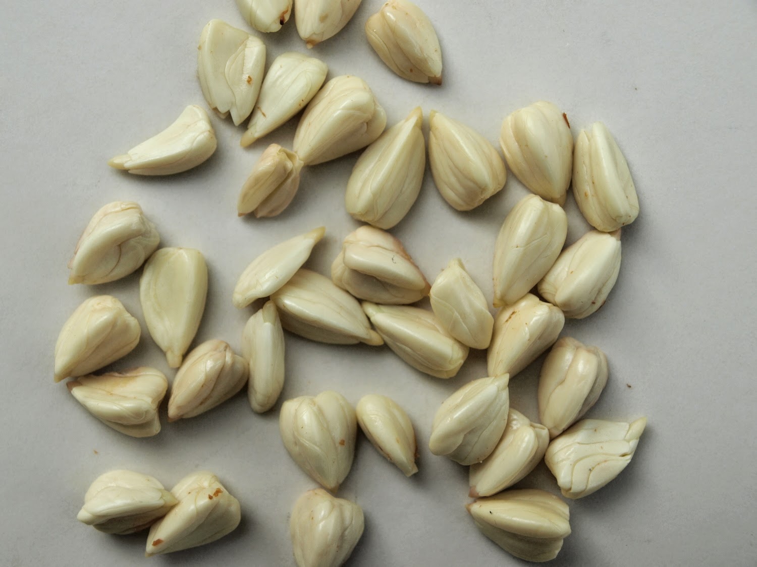 beech-nuts-skinless-1754001378.jpg