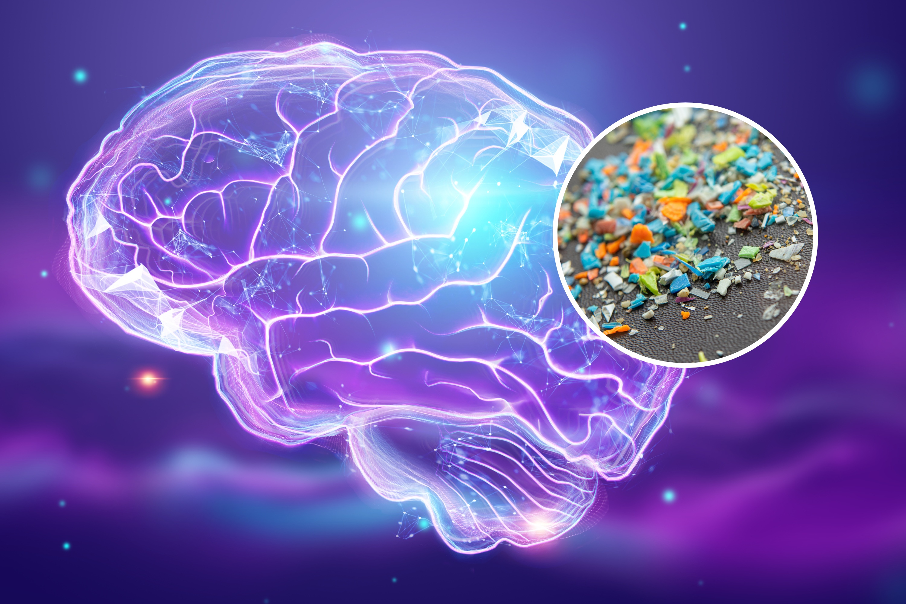 brain-microplastics-1756035593.jpg