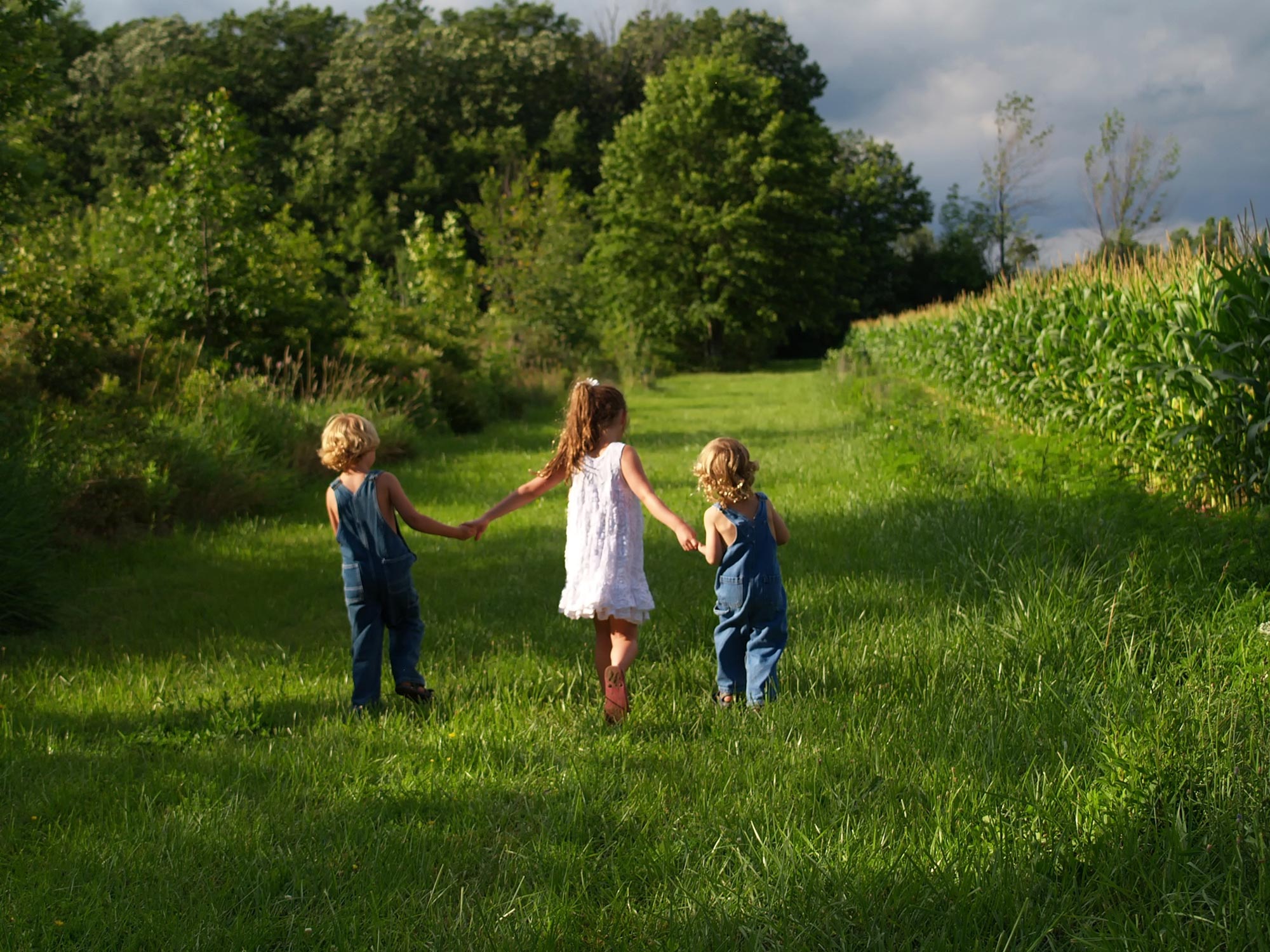 children-on-rural-farm-1775680456.jpg