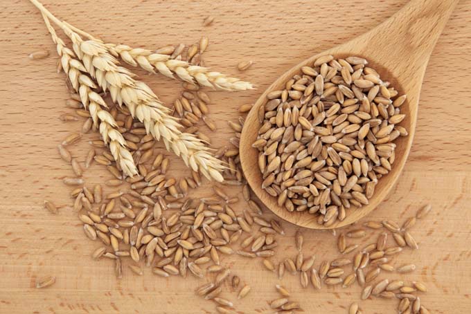spelt-natural-remedies-from-the-field-1780555741.jpg