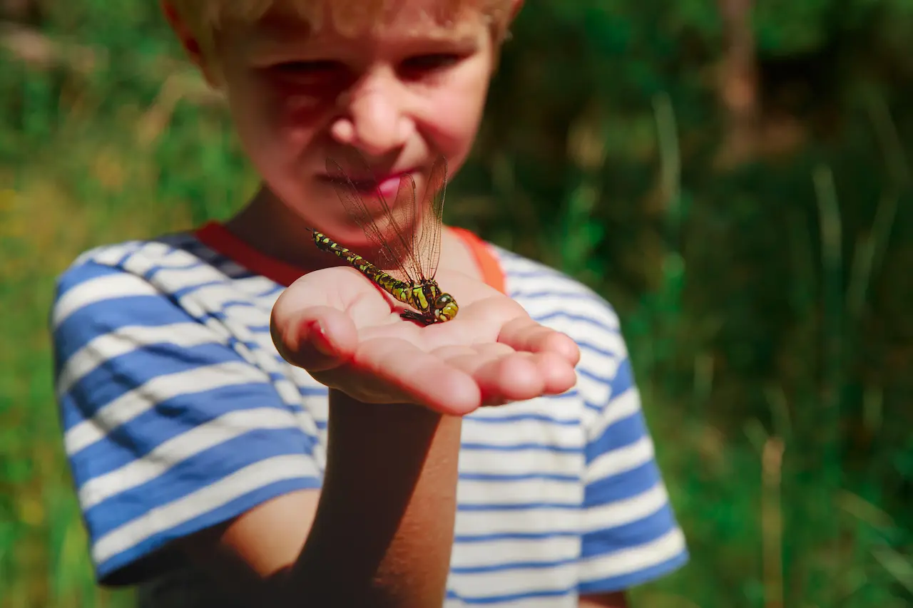little-boy-holding-dragonfly-in-nature-1280x853-1-1780684098.webp