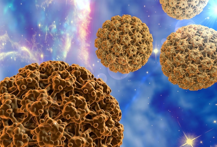 hpv-v1-1781991881.jpeg