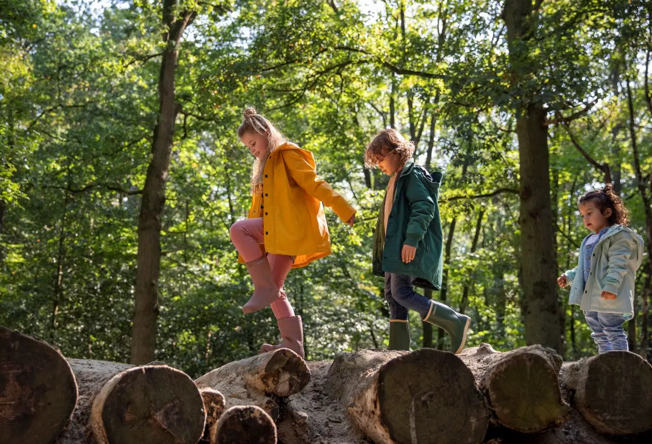kinderen-bos-vakantie-drenthe-bungalowpark-boerhaarsveld-schoonloo-1783433815.webp