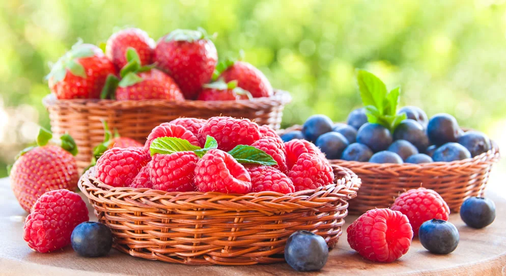 summer-fruit-900bcf06-ee4f-455f-be05-b564c2b680f5-1785492881.webp